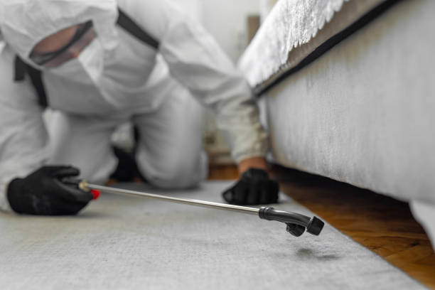 Professional Termite Control technician working in Yosemite Valley, CA