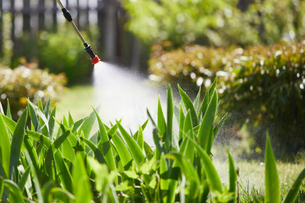 24/7 Emergency Termite Control experts in Yosemite Valley, CA