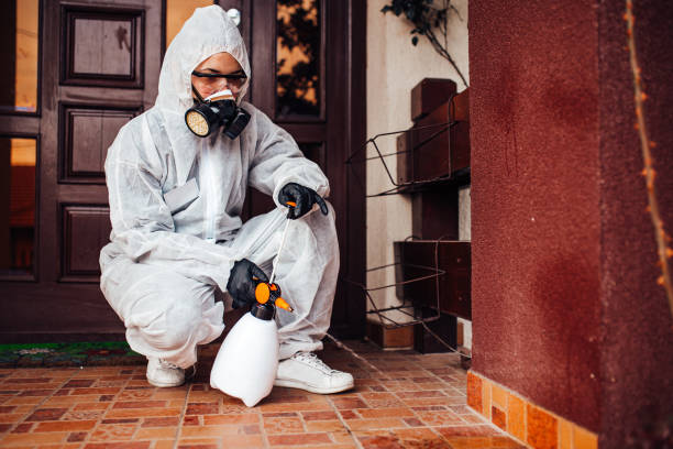 Reliable Termite Control contractor in Yosemite Valley, CA by Nex Pest Control