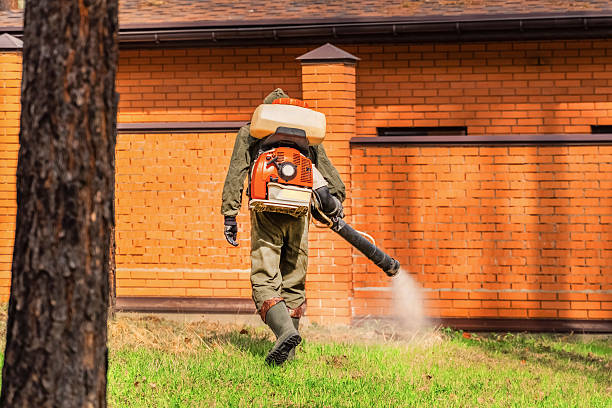 Trusted Cockroach Control service in Yosemite Valley, CA - Nex Pest Control